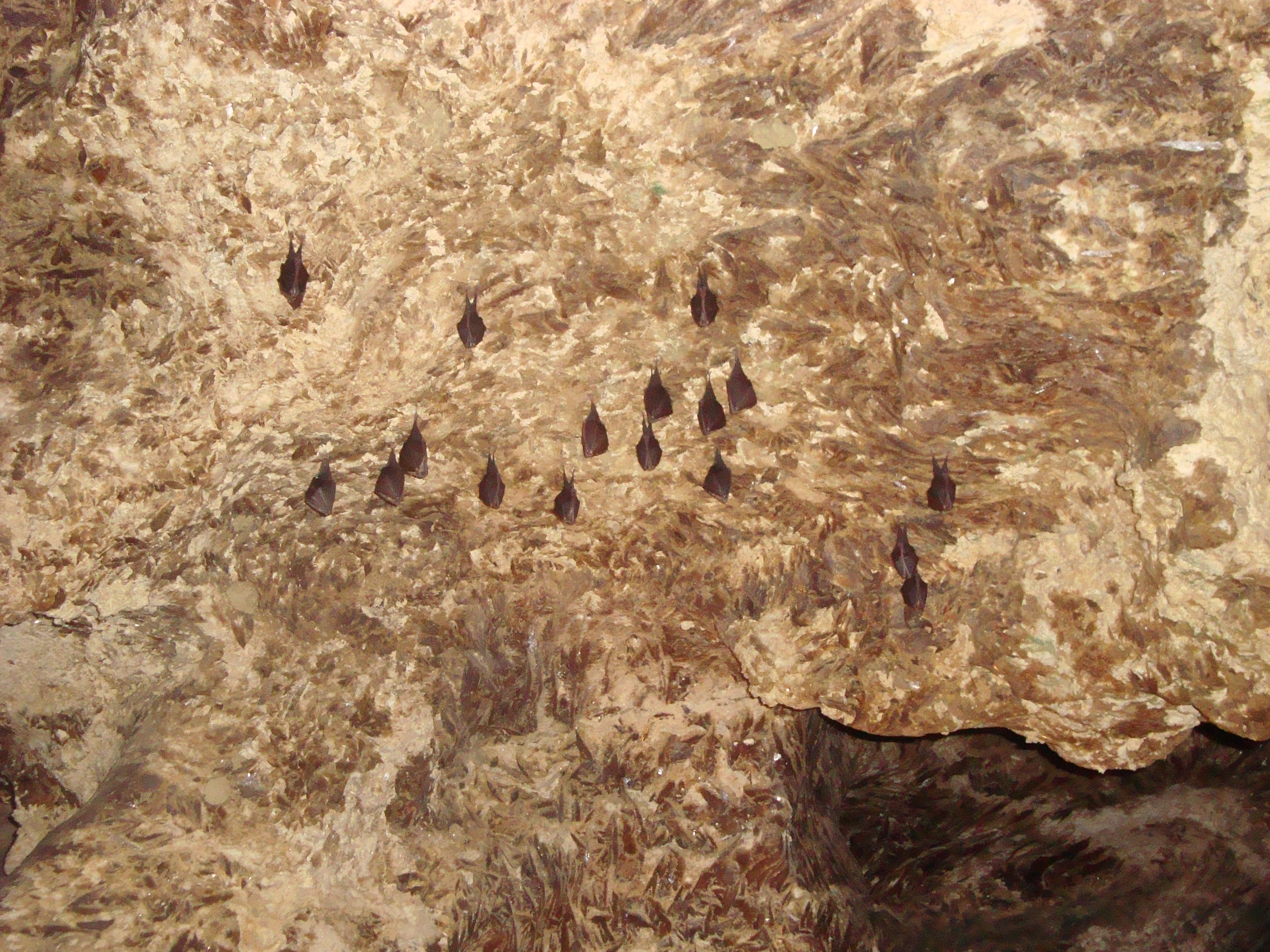 Фото, Кривче, Хрустальная пещера, отзывы туриста